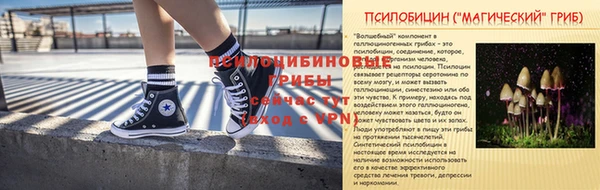 apvp Балахна
